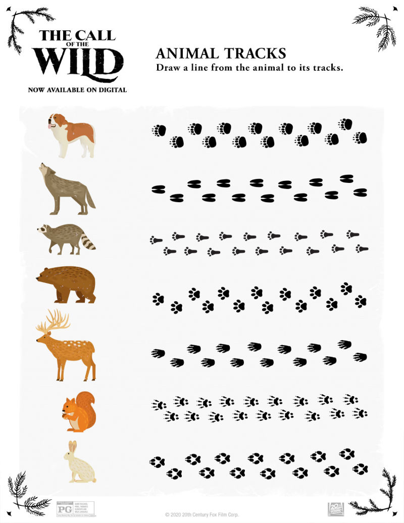 free printable animal tracks activity page - mama likes this